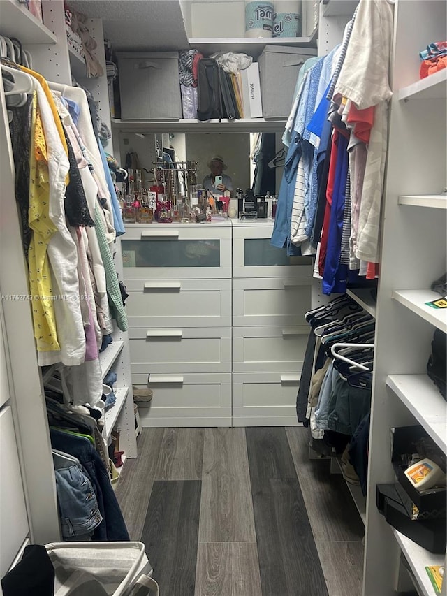 spacious closet with dark wood-type flooring