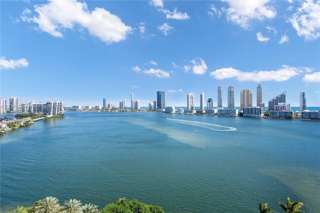 property view of water featuring a view of city