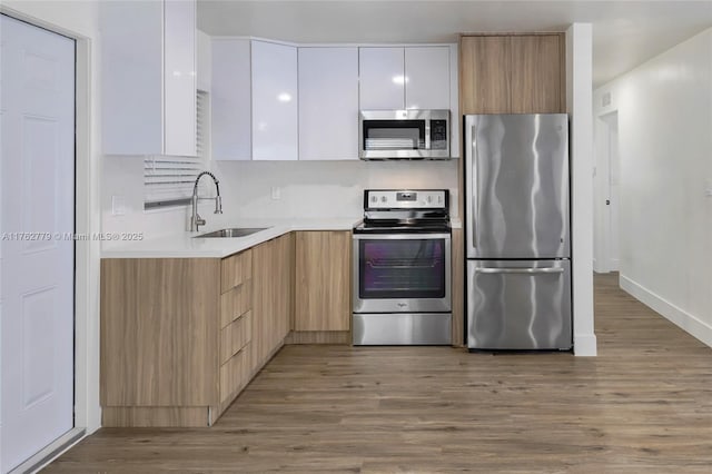 kitchen with modern cabinets, appliances with stainless steel finishes, light wood-style flooring, and a sink