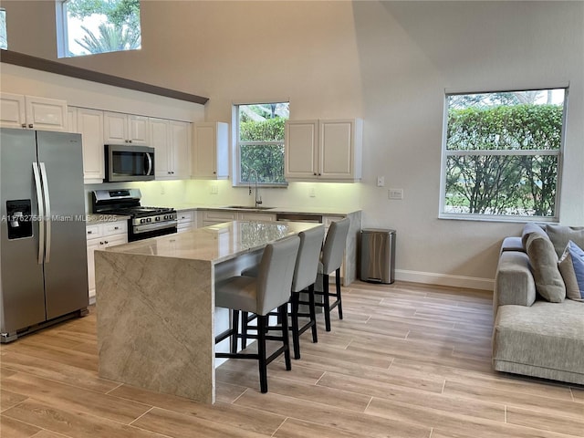 kitchen featuring a sink, light stone counters, stainless steel appliances, a towering ceiling, and wood tiled floor