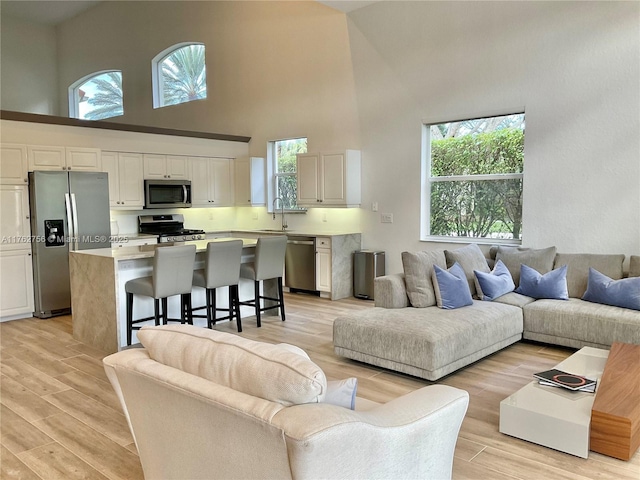 living area with light wood-style floors and a towering ceiling