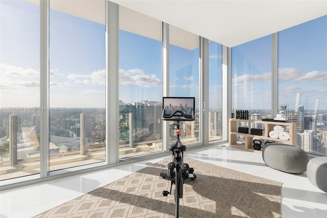 exercise room featuring floor to ceiling windows and a view of city