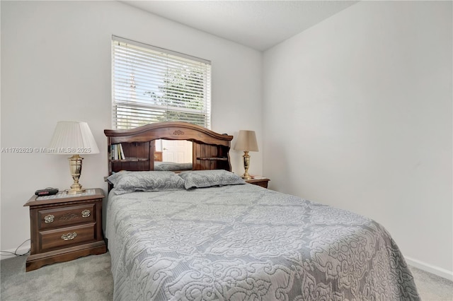 bedroom featuring carpet