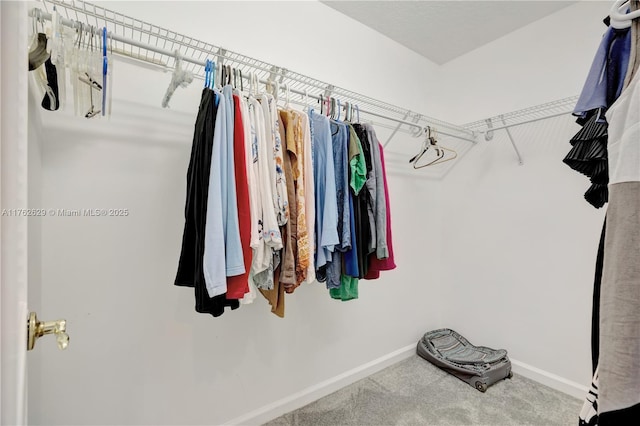 spacious closet with carpet flooring