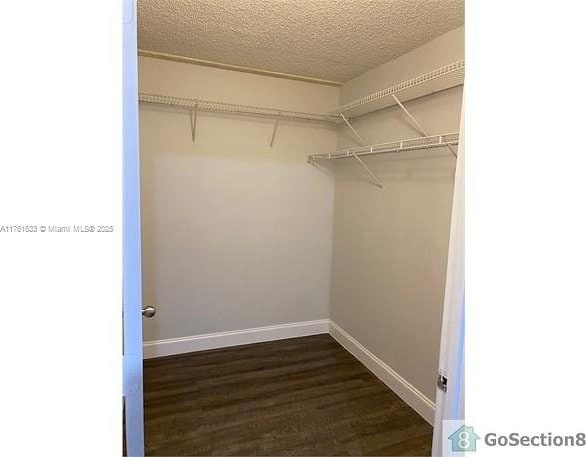 spacious closet featuring dark wood-style floors