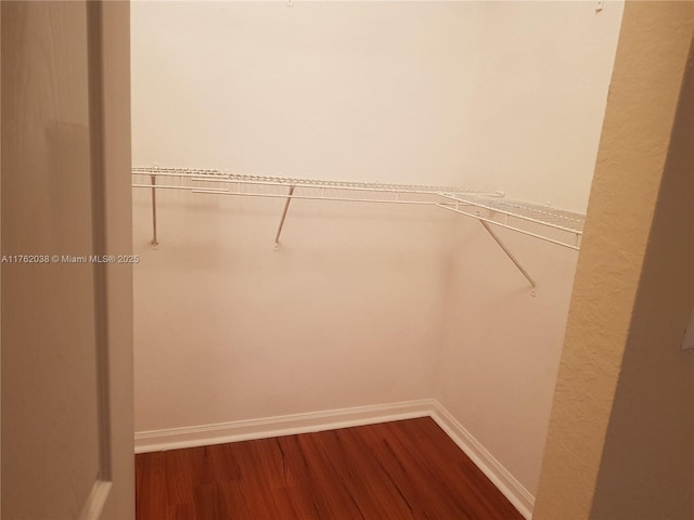 walk in closet with dark wood-style flooring