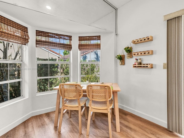 dining room with a wealth of natural light, baseboards, and wood finished floors