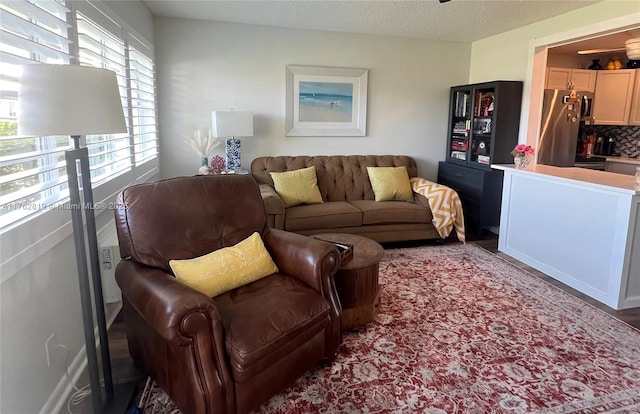 living room with a textured ceiling