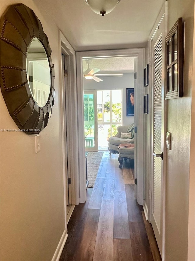 hallway with baseboards and dark wood-type flooring