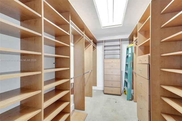 walk in closet featuring light carpet