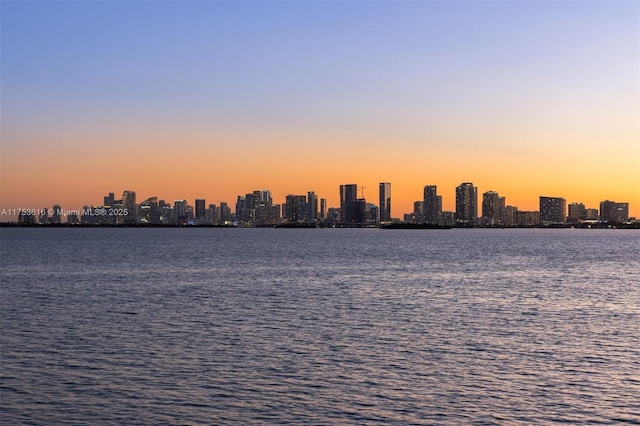 water view featuring a city view