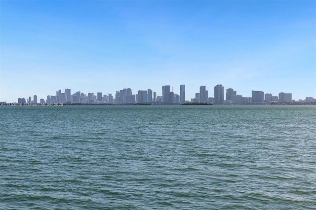 property view of water with a view of city