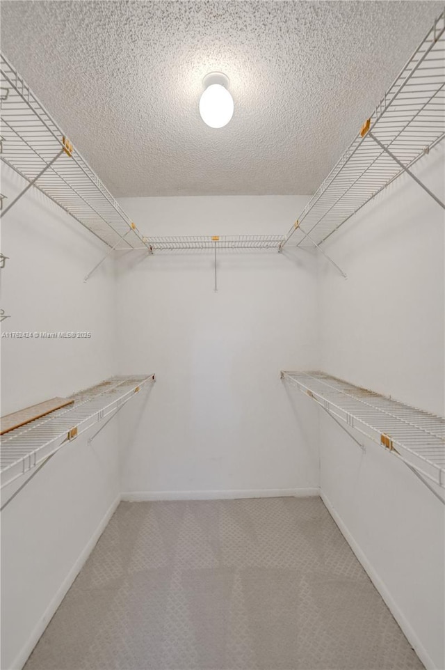 walk in closet with light carpet