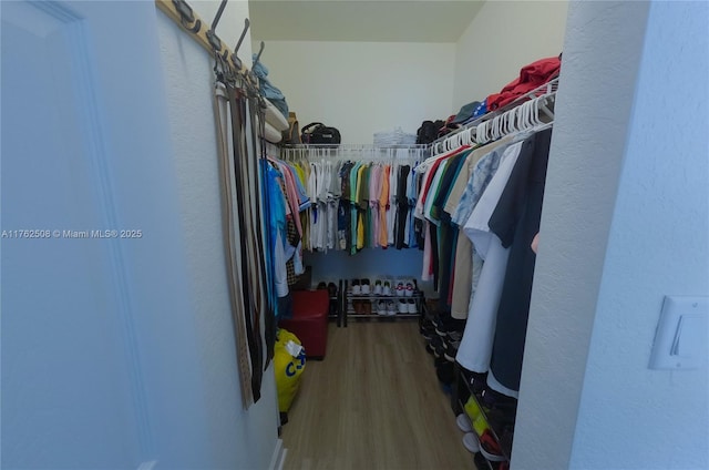 walk in closet featuring wood finished floors