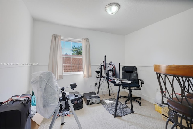 workout area featuring baseboards and carpet