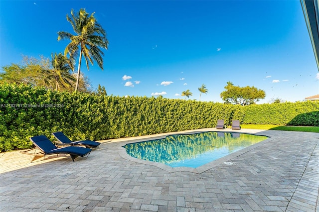 8111 SW 178th St, Palmetto Bay, FL 33157 - view of swimming pool featuring a patio and a fenced in pool