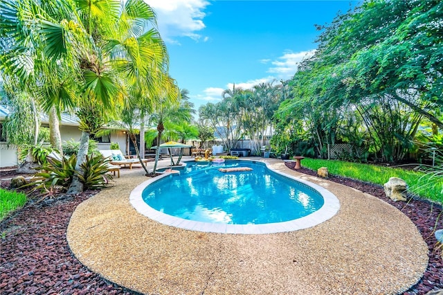 view of swimming pool featuring a fenced in pool, a patio, and a fenced backyard