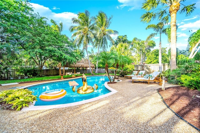 view of swimming pool featuring a patio, a fenced backyard, and a fenced in pool