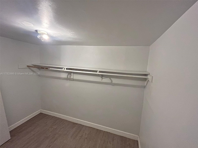 walk in closet featuring wood finished floors