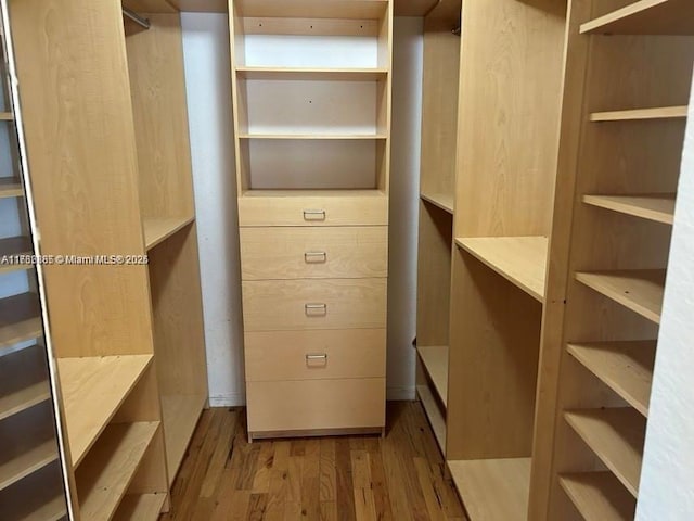 walk in closet featuring wood finished floors