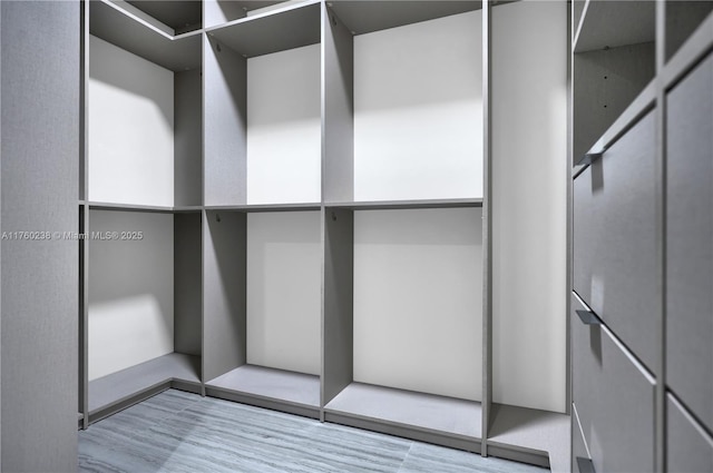 spacious closet featuring wood finished floors