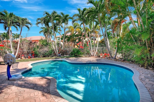 view of pool featuring a fenced in pool, a patio, and a fenced backyard