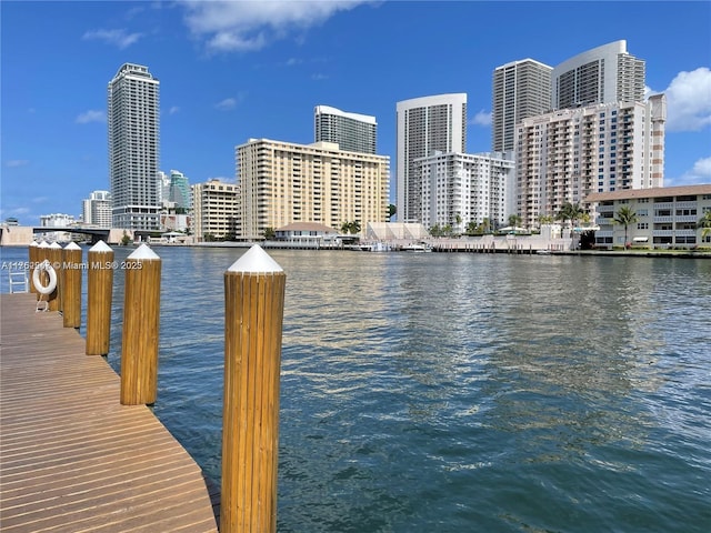 dock area with a city view and a water view