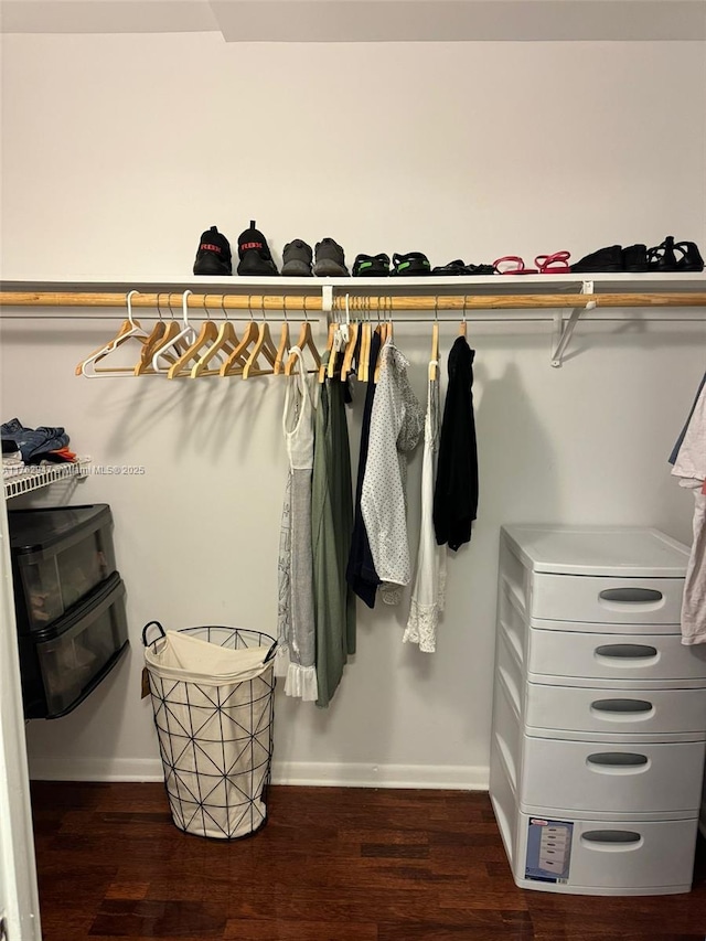 spacious closet featuring dark wood finished floors