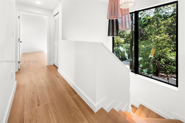 hallway with baseboards and wood finished floors