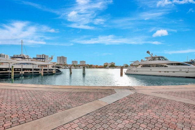 dock area featuring a water view