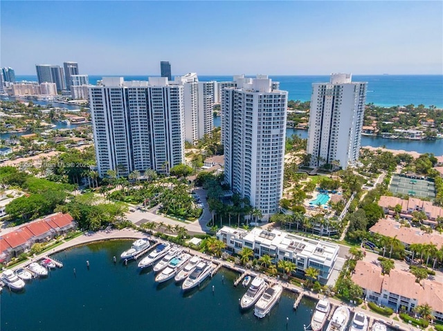 aerial view with a water view and a view of city