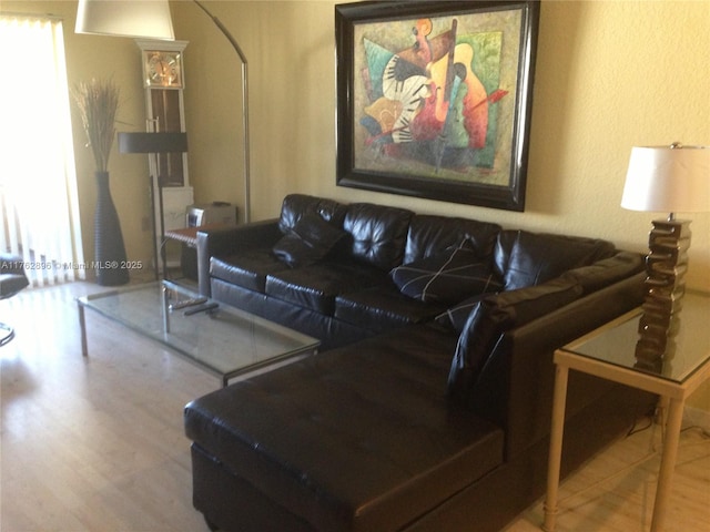 living room featuring wood finished floors and a textured wall