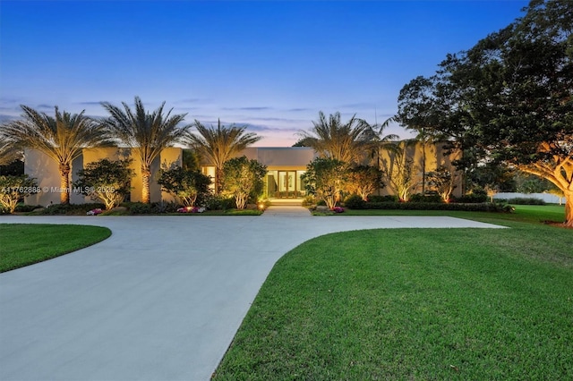 view of front of house featuring curved driveway, a front yard, and stucco siding