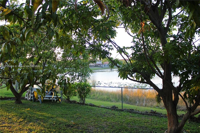 view of yard featuring a water view