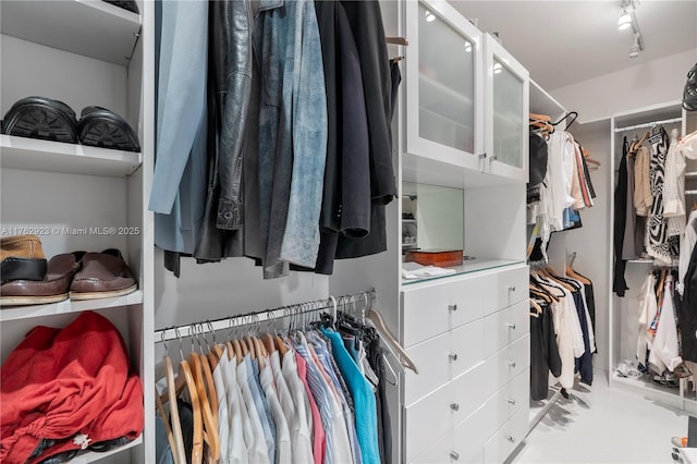 view of spacious closet