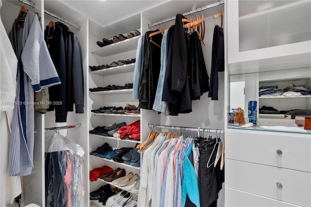 view of walk in closet