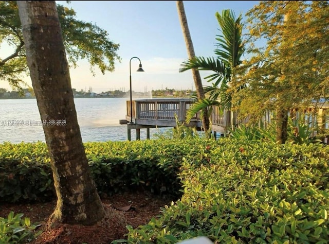 dock area featuring a water view