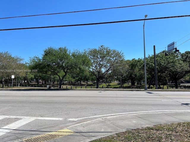 view of street with curbs, sidewalks, and street lighting