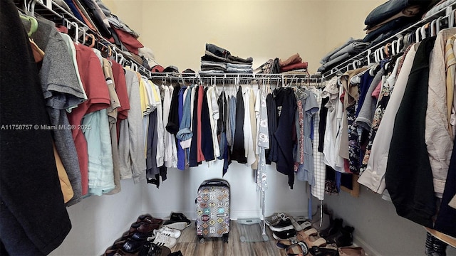 spacious closet featuring wood finished floors