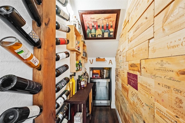 wine area featuring wooden walls and dark wood-style floors