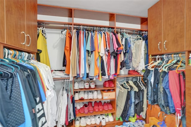 view of spacious closet