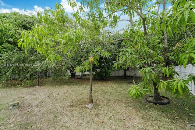 view of yard featuring fence