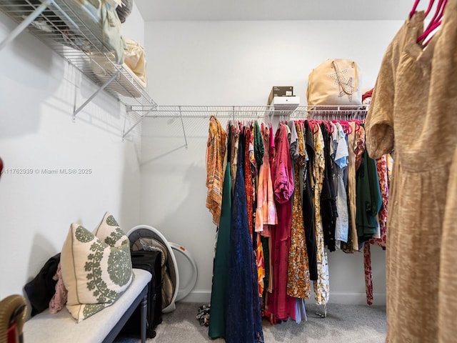 walk in closet featuring carpet floors