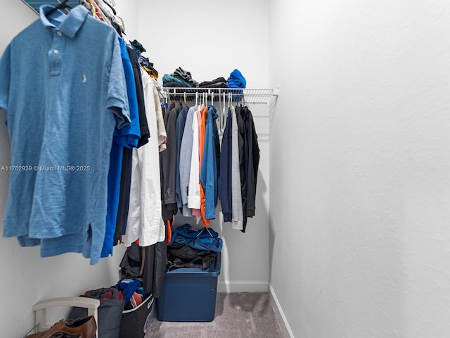 spacious closet featuring carpet