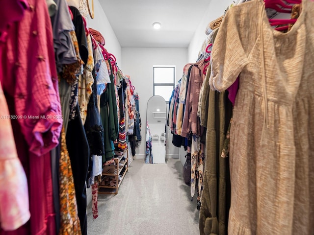 spacious closet featuring carpet