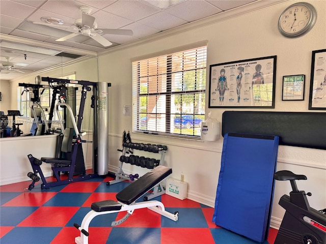 exercise area featuring crown molding, a ceiling fan, baseboards, and a paneled ceiling