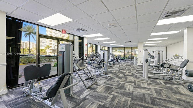 workout area with a healthy amount of sunlight, visible vents, carpet floors, and expansive windows