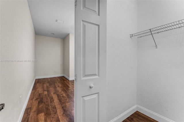 walk in closet featuring wood finished floors