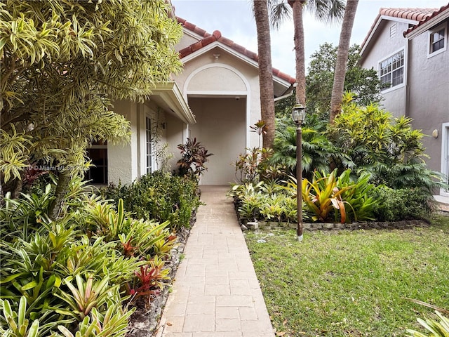 doorway to property featuring a tiled roof, a lawn, and stucco siding