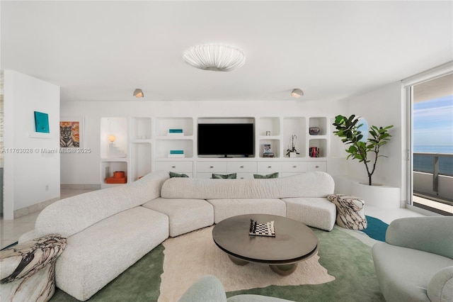 living room with built in shelves